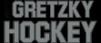 Логотип Emulators WAYNE GRETZKY HOCKEY [ST]